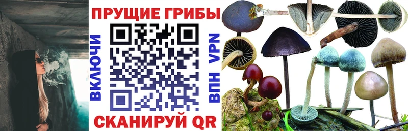 МЕГА зеркало  Нерехта  Псилоцибиновые грибы мухоморы  наркошоп 